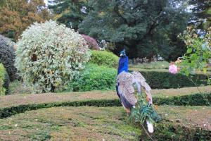 954802_10155009753255508_4584175086178172822_n